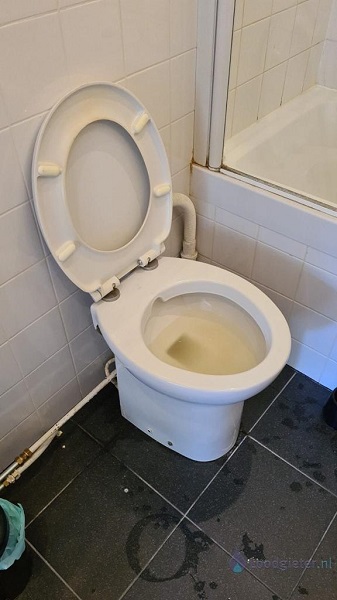  verstopping toilet Ulft